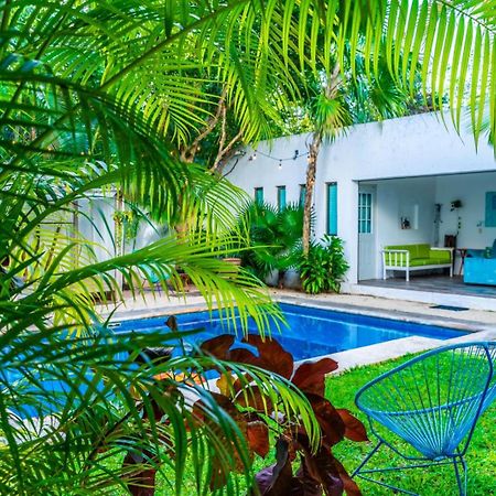 ホテル Casa Borush By Ecoplaneta カンクン エクステリア 写真