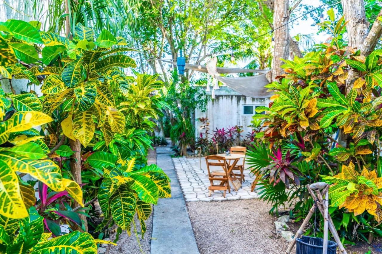 ホテル Casa Borush By Ecoplaneta カンクン エクステリア 写真